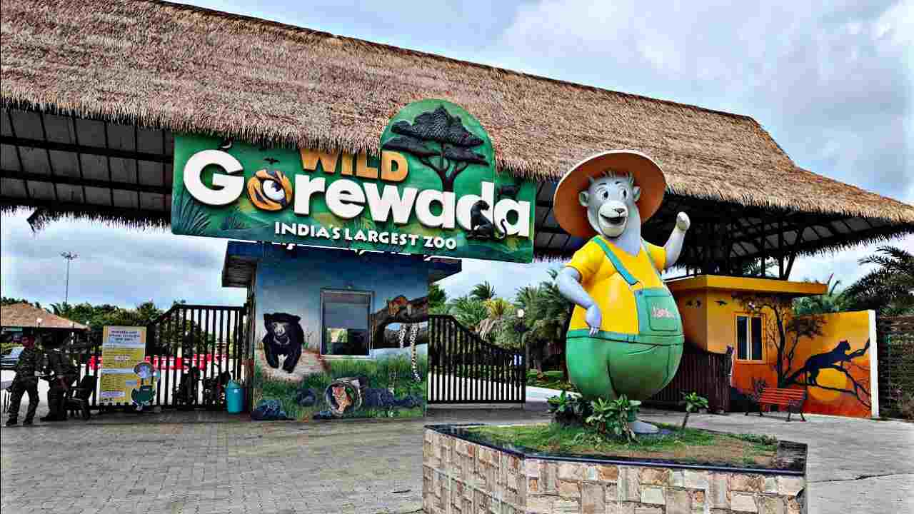 Gorewada Zoo Nagpur Tickets, Pricing, and Online Booking