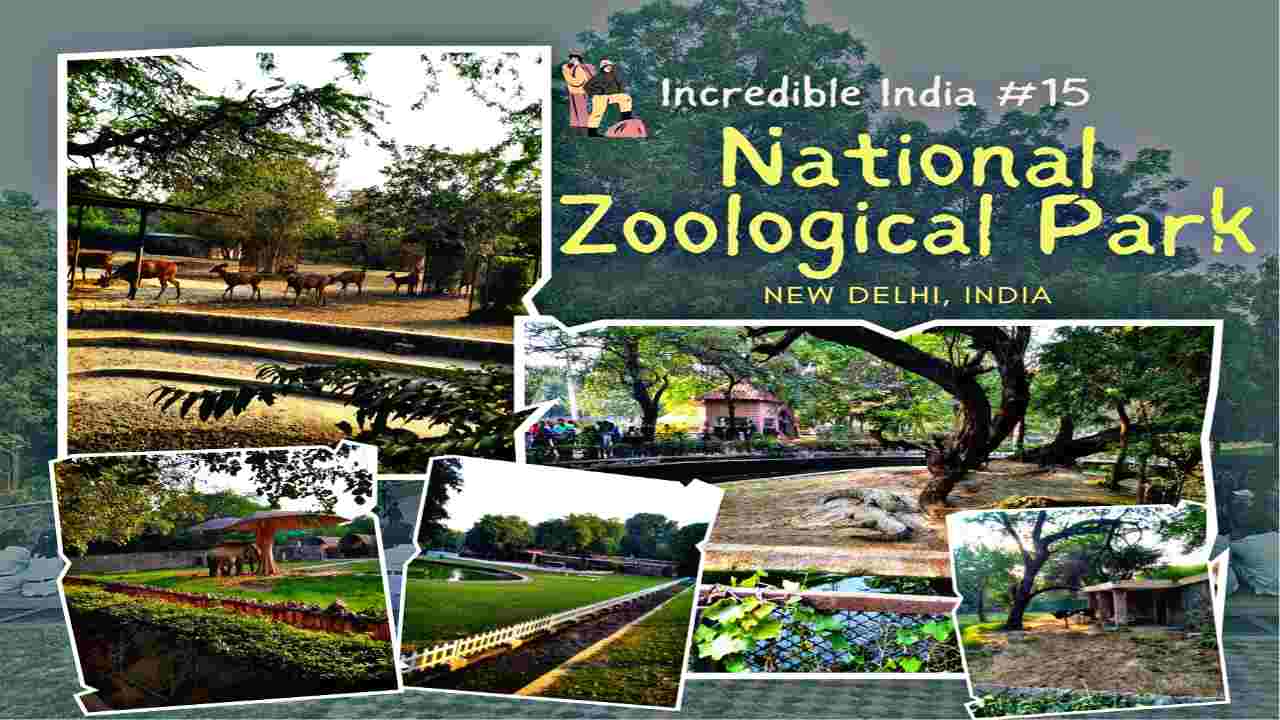 National Zoological Park Delhi Ticket Price and Online Booking