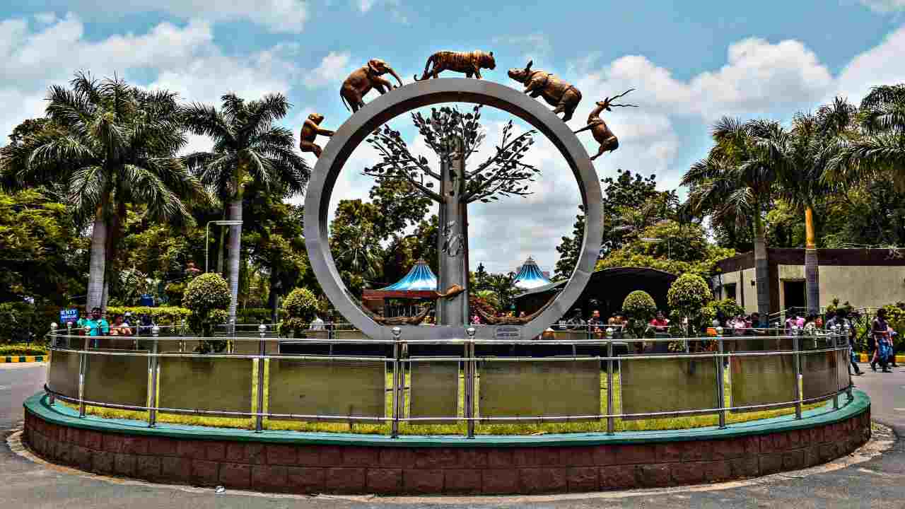 Nehru Zoological Park Tickets, Pricing, and Online Booking